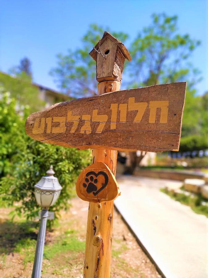 חלון לגלבוע צימר בוטיק בעמק המעיינות Bet Alfa 外观 照片