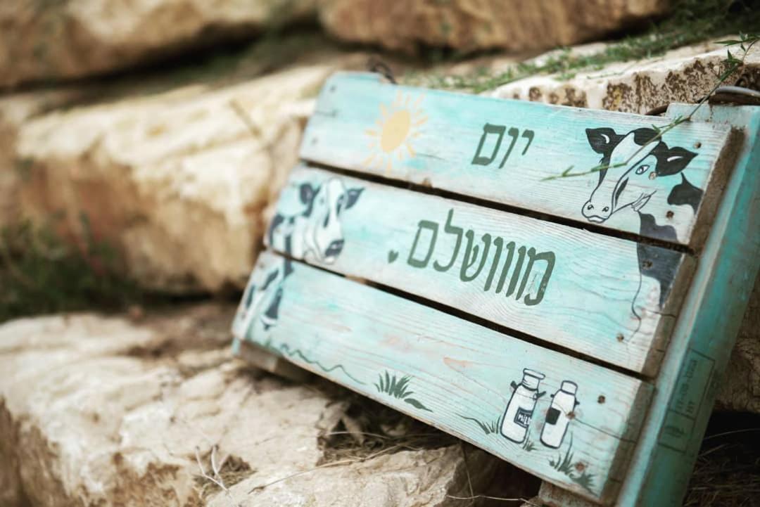חלון לגלבוע צימר בוטיק בעמק המעיינות Bet Alfa 外观 照片